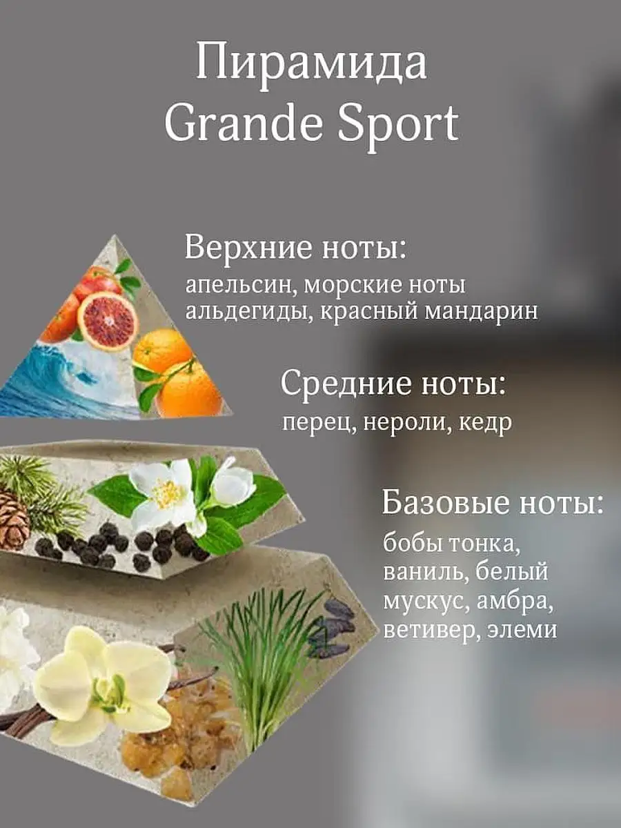 Adriano Domianni Grande Sport Туалетная вода 100 мл ADRIANO DOMIANNI  165042826 купить за 735 ₽ в интернет-магазине Wildberries