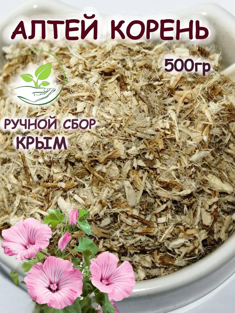 Алтей корень