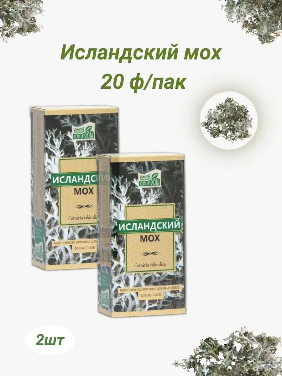 Исландский мох измельченный 20 фильтр-пакетов Наследие природы 165048848  купить за 521 ₽ в интернет-магазине Wildberries