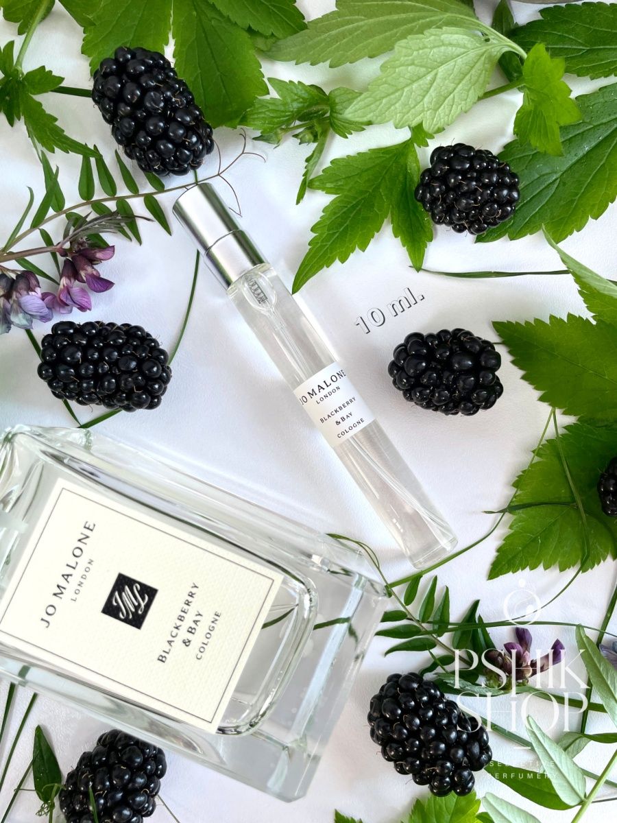 Blackberry bay отзывы. Jo Malone BLACKBERRY Bay. Джо Малон ежевика. Jo Malone BLACKBERRY Bay баннер. Джо Малон ежевика в пластике.