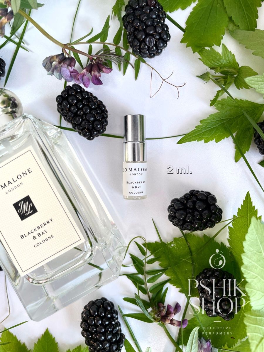 Jo Malone BLACKBERRY. Джо Малон блэкберри Бэй. Джо Малон ежевика. Jo Malone BLACKBERRY Bay баннер.