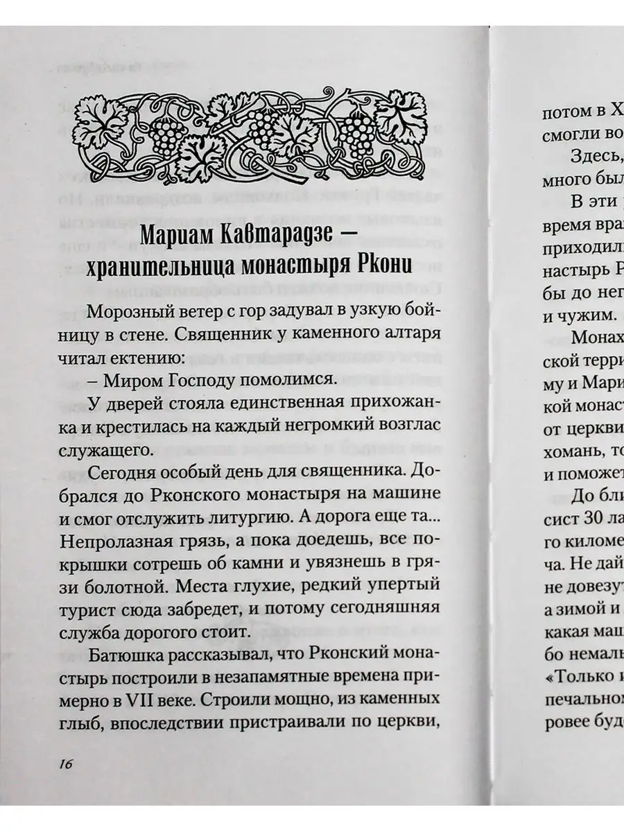 Любви много не бывает. Сибирская Благозвонница 165109293 купить за 765 ₽ в  интернет-магазине Wildberries