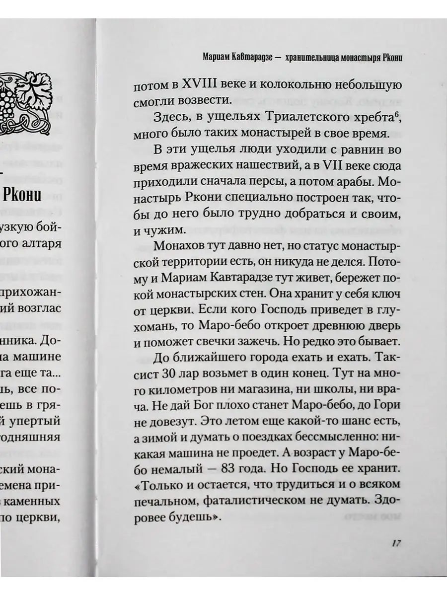 Любви много не бывает. Сибирская Благозвонница 165109293 купить за 765 ₽ в  интернет-магазине Wildberries