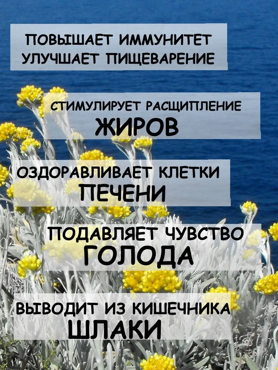 Бессмертник сушеный Дерево Любви 165163624 купить за 296 ₽ в  интернет-магазине Wildberries