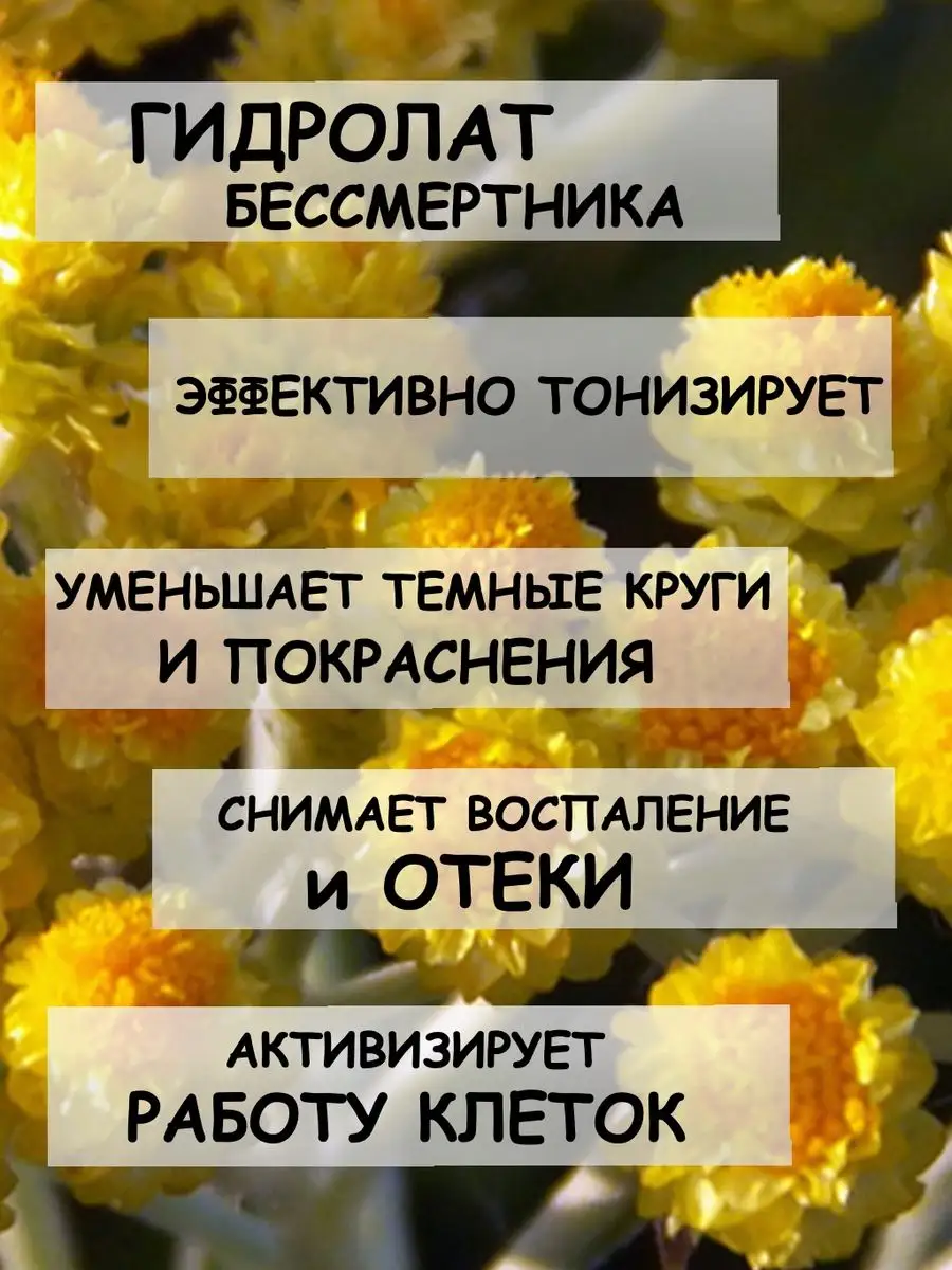 Бессмертник сушеный Дерево Любви 165163624 купить за 296 ₽ в  интернет-магазине Wildberries