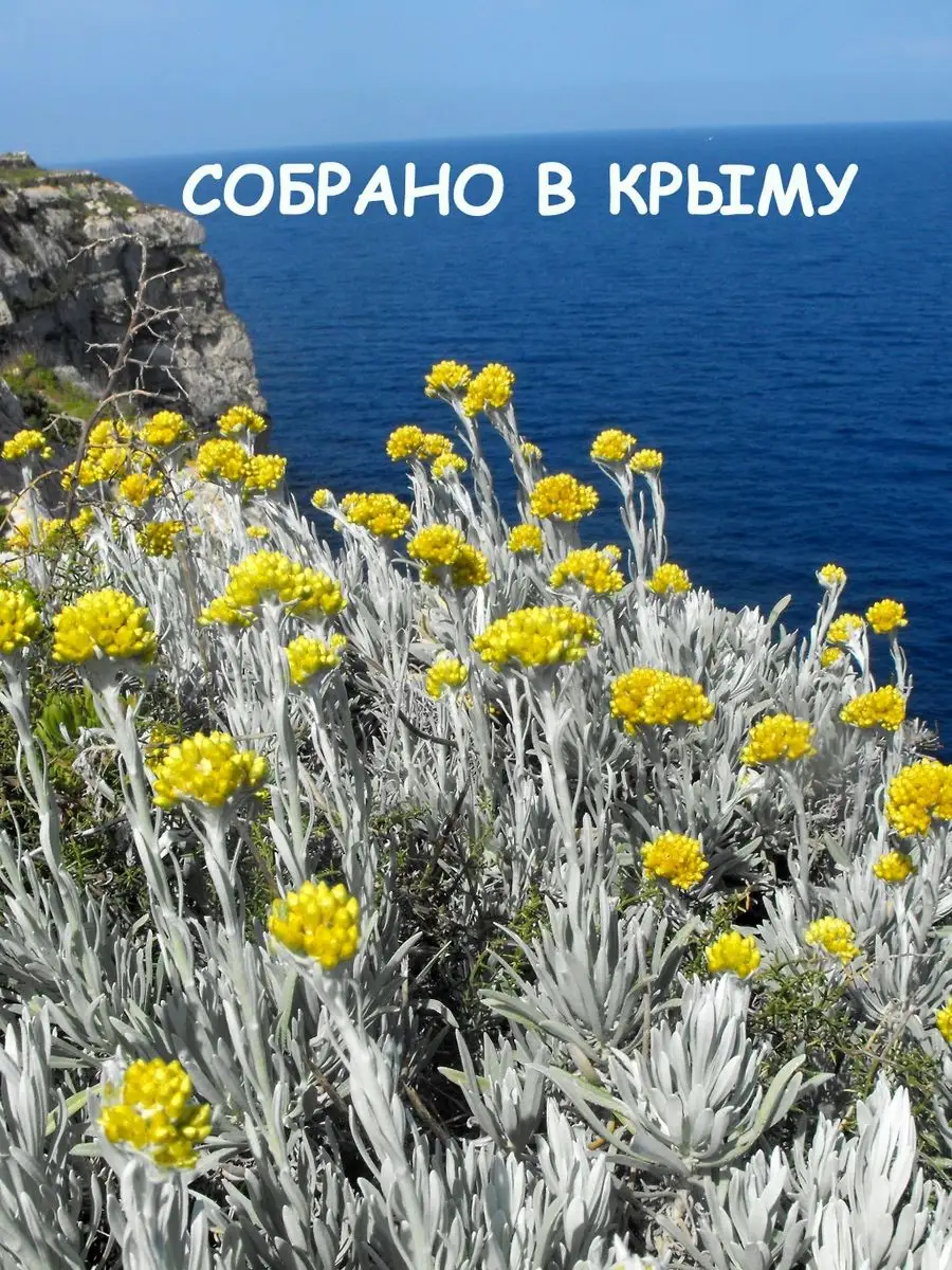 Бессмертник сушеный Дерево Любви 165163625 купить за 575 ₽ в  интернет-магазине Wildberries