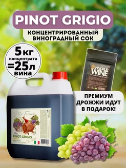 Сок концентрированный виноградный PINOT GRIGIO 5кг AZOV BREWERY 165177978 купить за 2 681 ₽ в интернет-магазине Wildberries