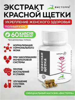 Красная щетка экстракт в капсулах Вистерра 165203265 купить за 499 ₽ в интернет-магазине Wildberries