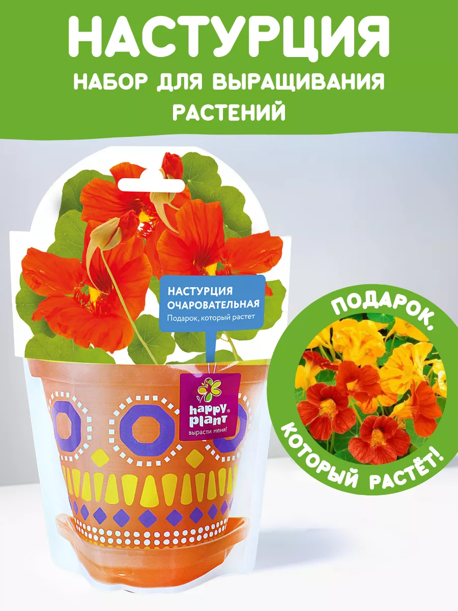 Набор для выращивания растений и цветов Настурции