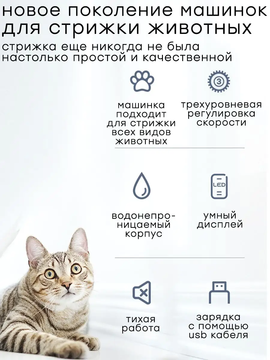 Как подстричь кошку и кота правильно в домашних условиях - FriendForPet