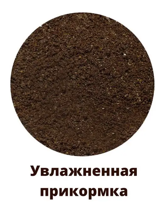 Vabik Прикормка для рыбалки Optima Плотва 3кг, 3 кг, фото 3