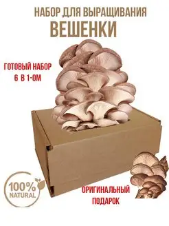 Набор для выращивания вешенки, мицелий грибов, грибница Грибница Simple Food Trade 165335819 купить за 241 ₽ в интернет-магазине Wildberries