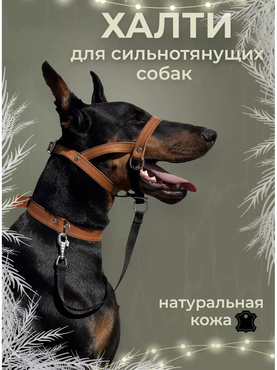 Недоуздок для собак Халти