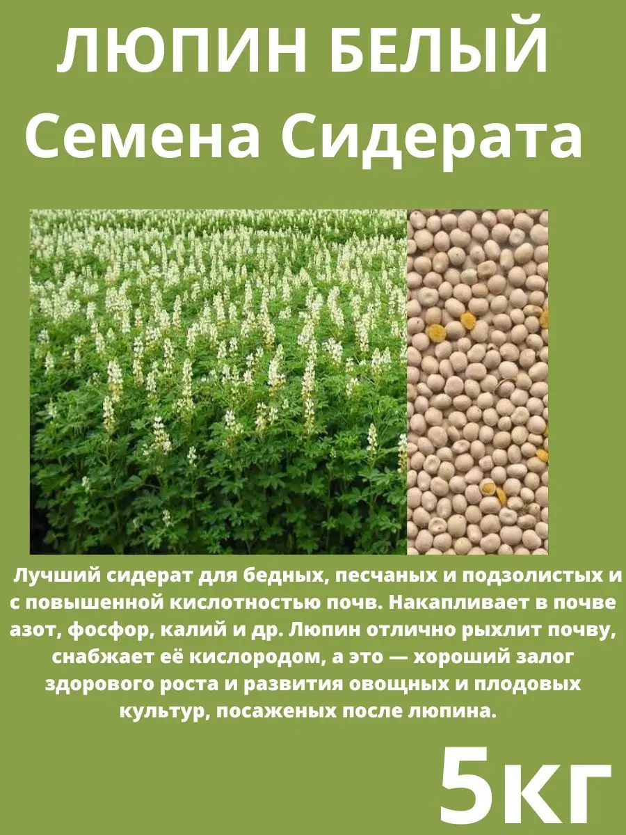 Купить Люпин Кормовой Семена