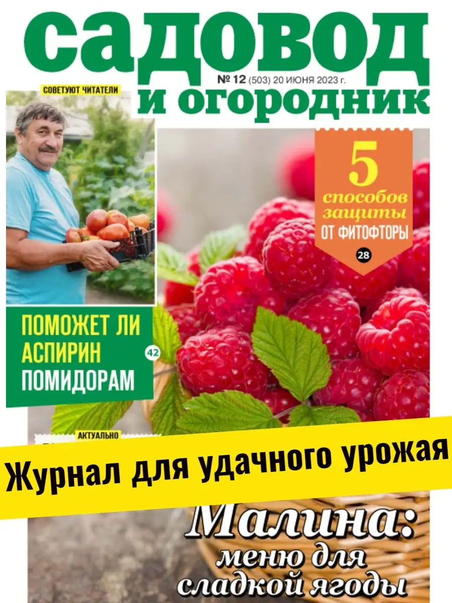 Уход за растениями. Защита от фитофторы. №12/23 Садовод и огородник  165405907 купить за 150 ₽ в интернет-магазине Wildberries