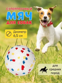 Игрушка для собак Мяч суперпрочный for cats&dogs 165425974 купить за 215 ₽ в интернет-магазине Wildberries