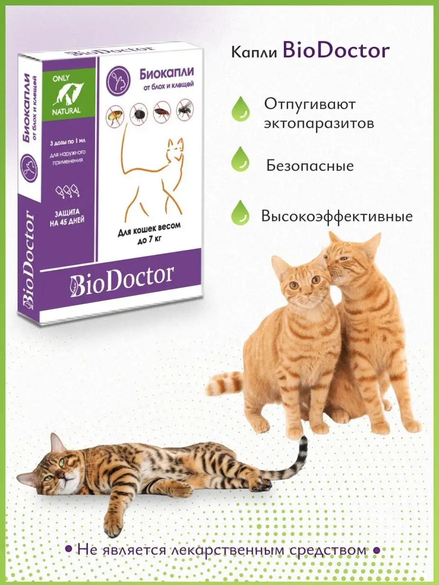 Капли от блох и клещей для кошек BioDoctor 165427553 купить за 210 ₽ в  интернет-магазине Wildberries