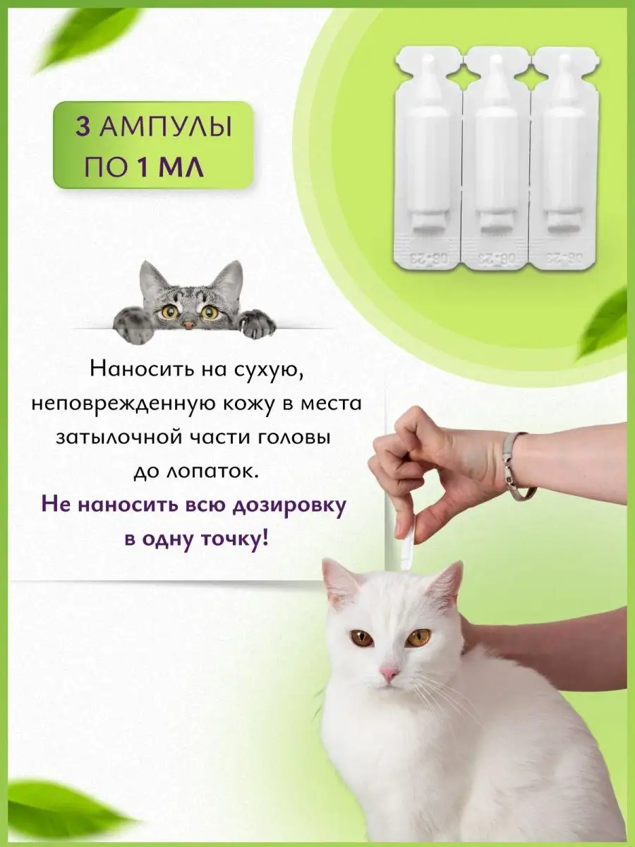 Капли от блох и клещей для кошек BioDoctor 165427553 купить за 210 ₽ в  интернет-магазине Wildberries