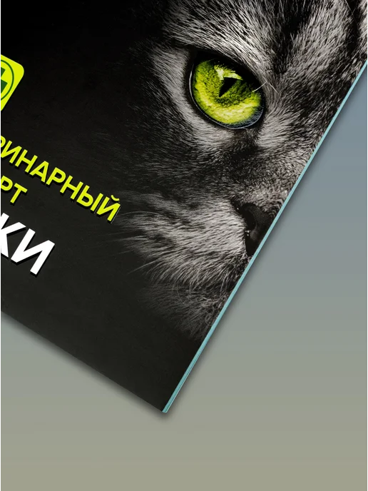 ZooMoDa Ветеринарный паспорт для кошек 36 стр, черный, фото 4