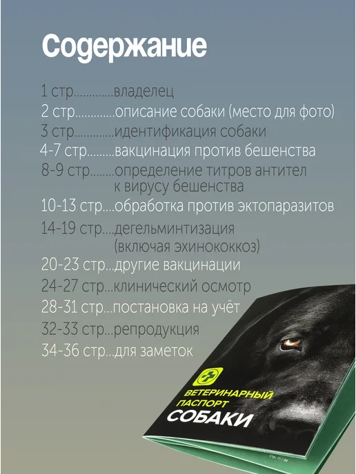 ZooMoDa Ветеринарный паспорт для собак 36 стр, черный, фото 2