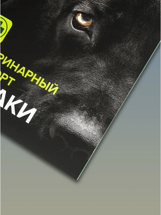 ZooMoDa Ветеринарный паспорт для собак 36 стр, черный, фото 4