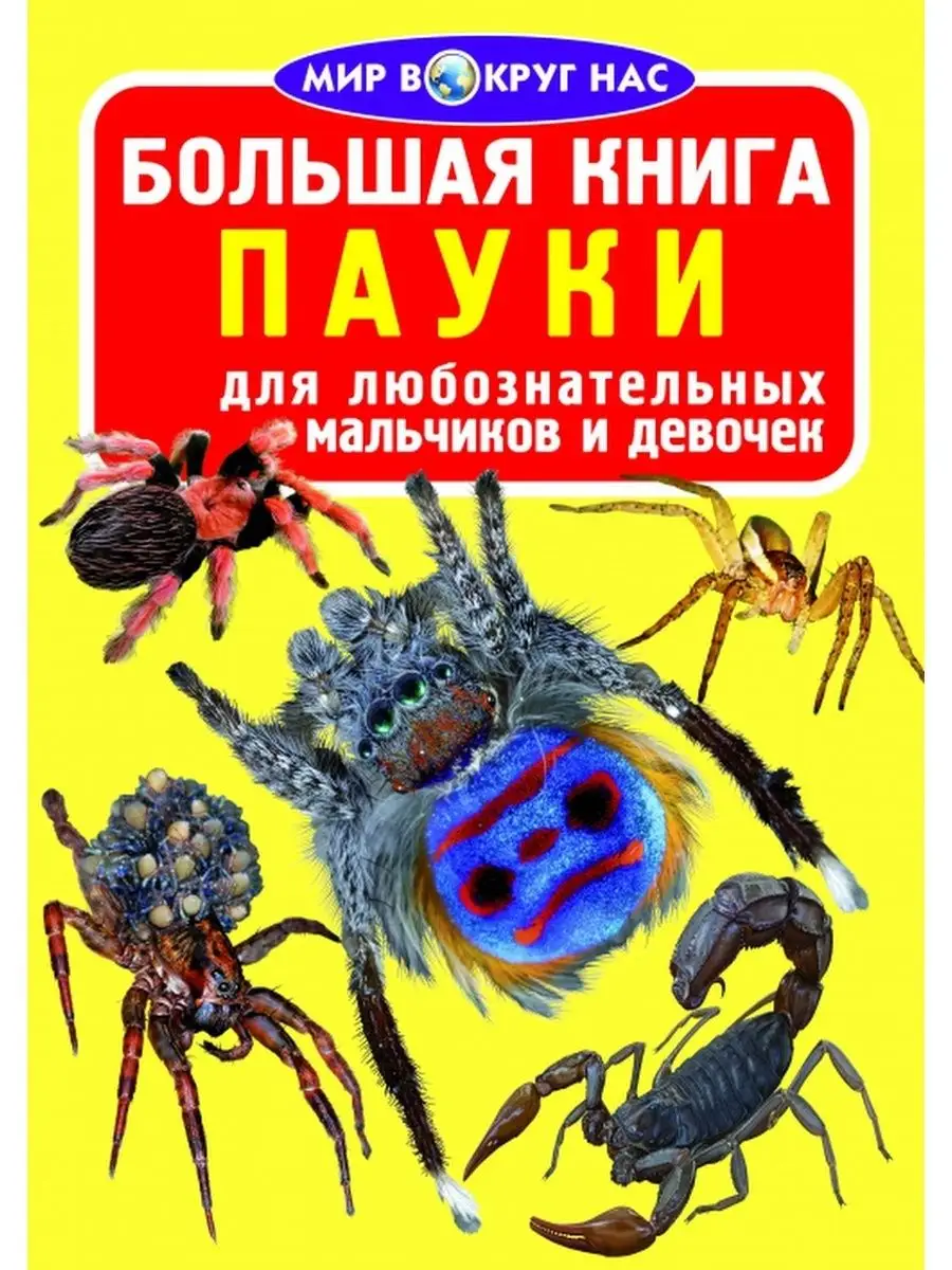 Большая книга. Пауки Кристалл Бук 165516016 купить в интернет-магазине  Wildberries