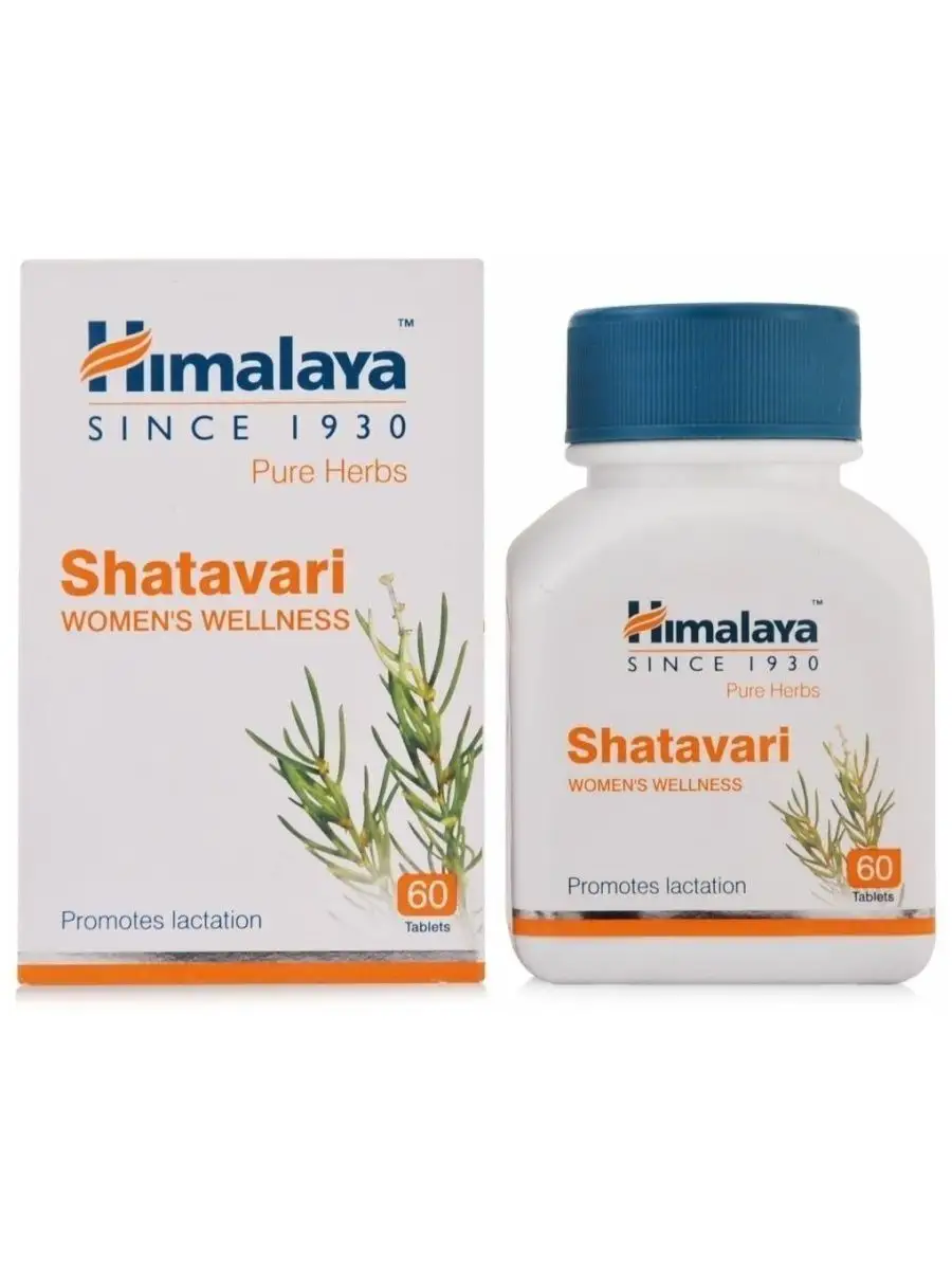 Шатавари. Шатавари можно. Шатавари как выглядит растение. Лекарства из индии привезти с гоа. Шатавари можно.